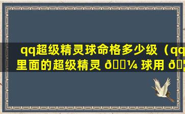 qq超级精灵球命格多少级（qq里面的超级精灵 🐼 球用 🦊 什么阵容好）